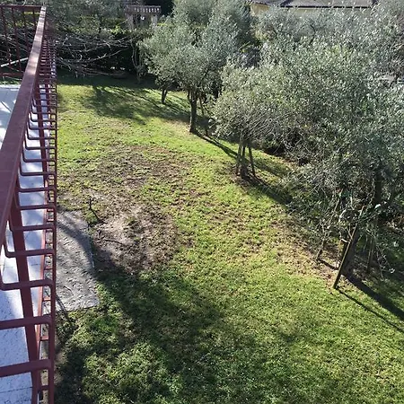 Bellavista